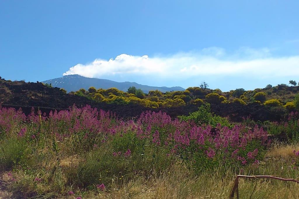 Odeonhouse - Catania - Parking Included Apartment ภายนอก รูปภาพ