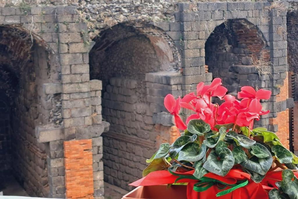 Odeonhouse - Catania - Parking Included Apartment ภายนอก รูปภาพ